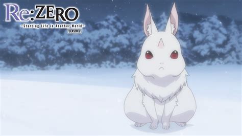 re zero rabbit scene|re zero bunnies.